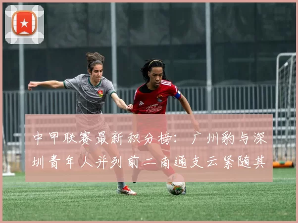 中甲联赛最新积分榜：广州豹与深圳青年人并列前二南通支云紧随其后
