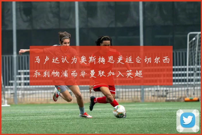 马卢达认为奥斯梅恩更适合切尔西和利物浦而非曼联加入英超